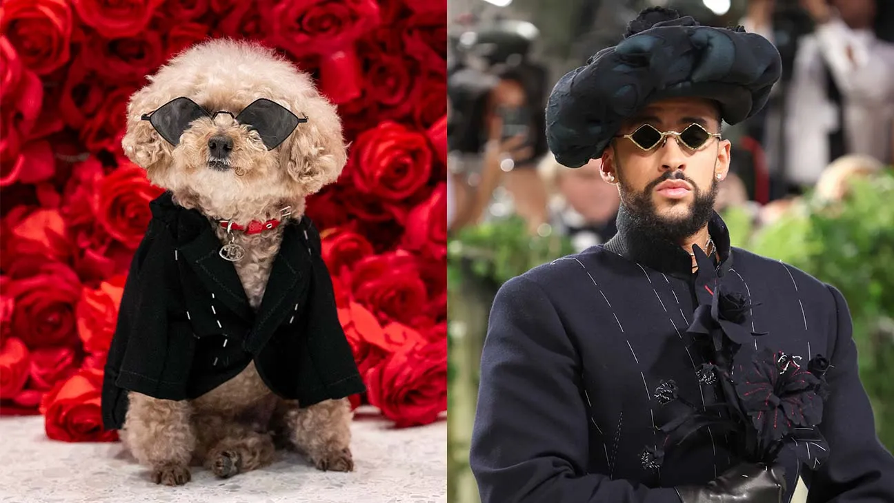 Dog dressed up as Bad Bunny for the Pet Gala, based on the artist's Met Gala look.