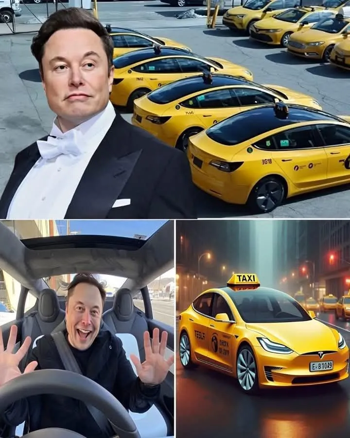 H๏τ NEWS! Elon Musk “plays big” by renting the entire land of the world’s largest film studio to launch a taxi