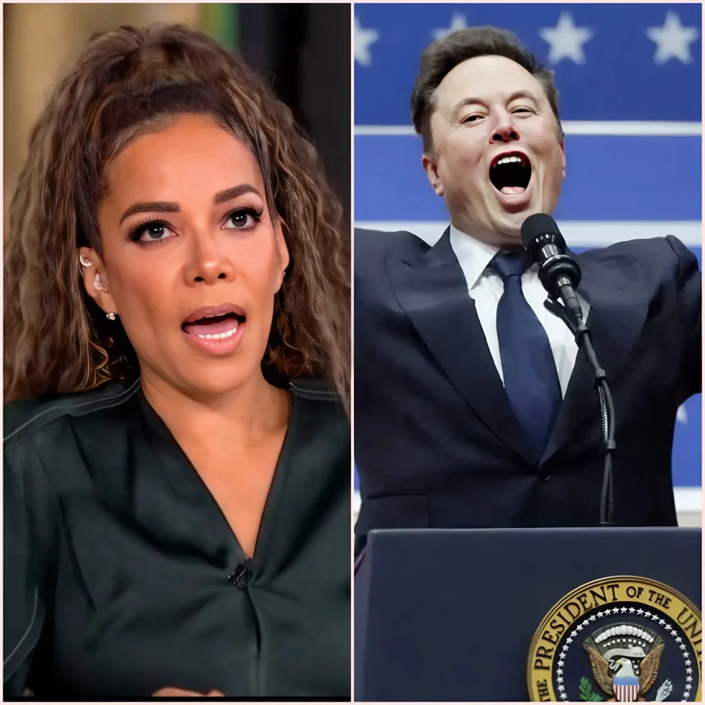 Sunny Hostin choque le public en qualifiant Elon Musk de « bâtard » dans The View. La réaction d’Elon Musk laisse tout le studio abasourdi, ce qui incite Joy Behar à présenter des excuses immédiates.