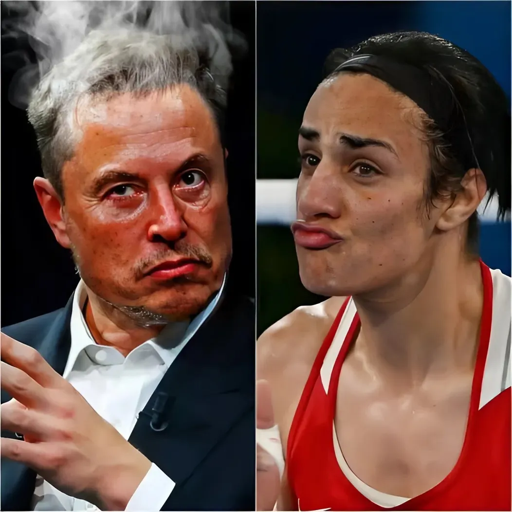 BREAKING: Elon Musk decides to withdraw support for WBO programs unless Imane Khelif’s medal and  million bonus are revoked.