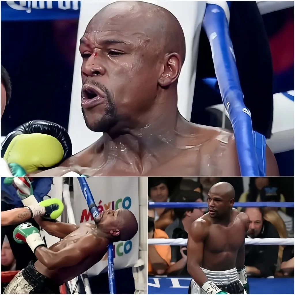 “END OF AN ERA” Mayweather lost his victory record after a surprising incident in the Octavo before John Gotti III, who provoked disasters and lost up to 135 million dollars.