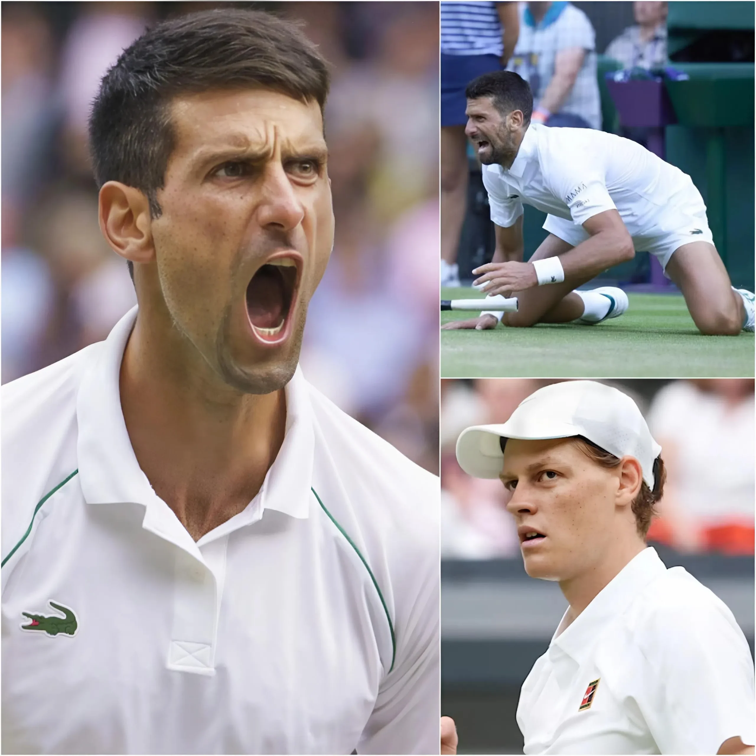 Cover Image for 🔴 SHOCK: Novak Djokovic ha dovuto pagare una cifra salatissima, fino a 10.000 dollari, per aver urlato “BASTARDO” a Jannik Sinner al 22° minuto della semifinale di Wimbledon. La reazione immediata di Sinner ha lasciato tutti senza parole!