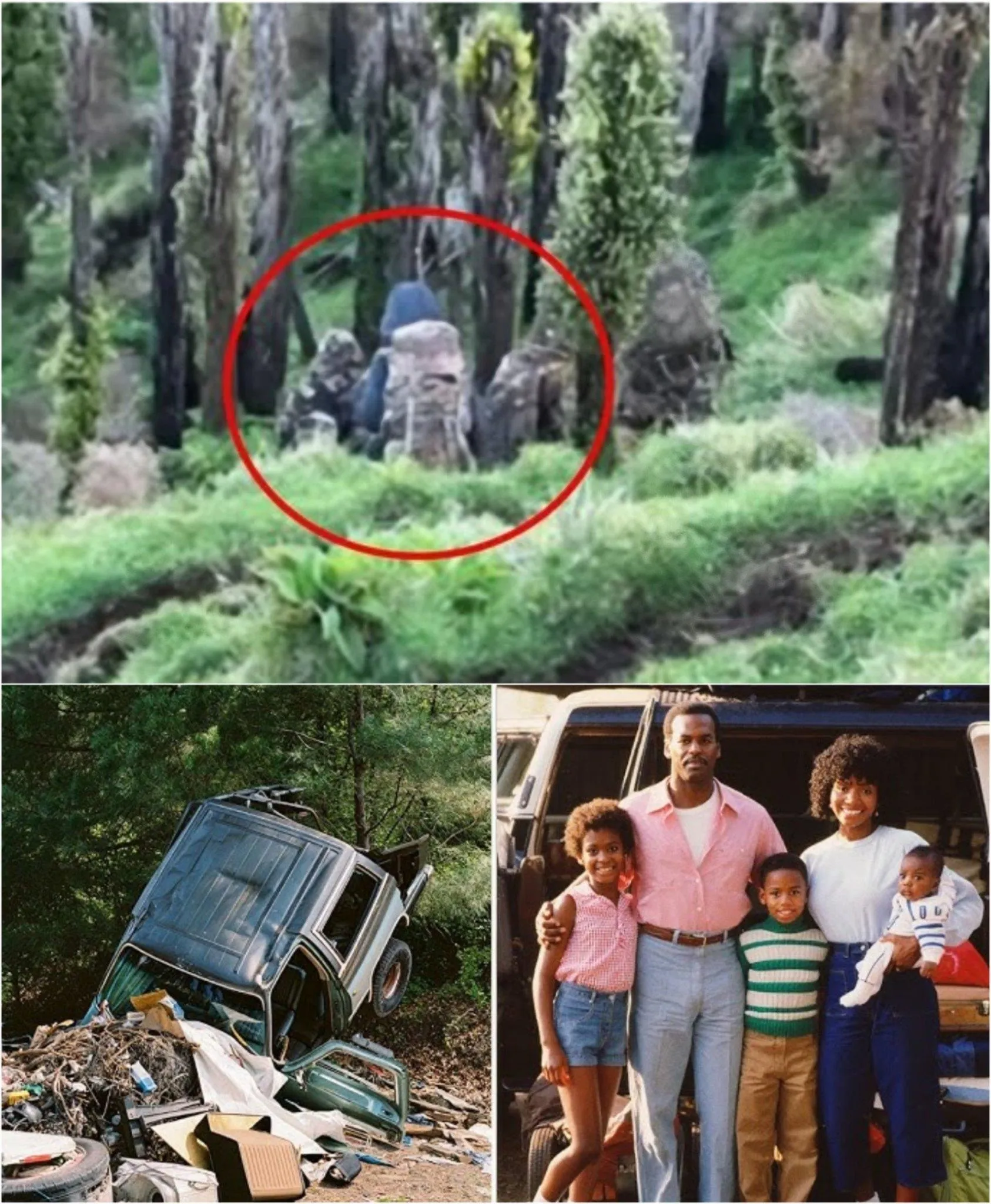 Cover Image for Família negra desapareceu em uma viagem de carro em 1982 — 20 anos depois, isso é encontrado na floresta…