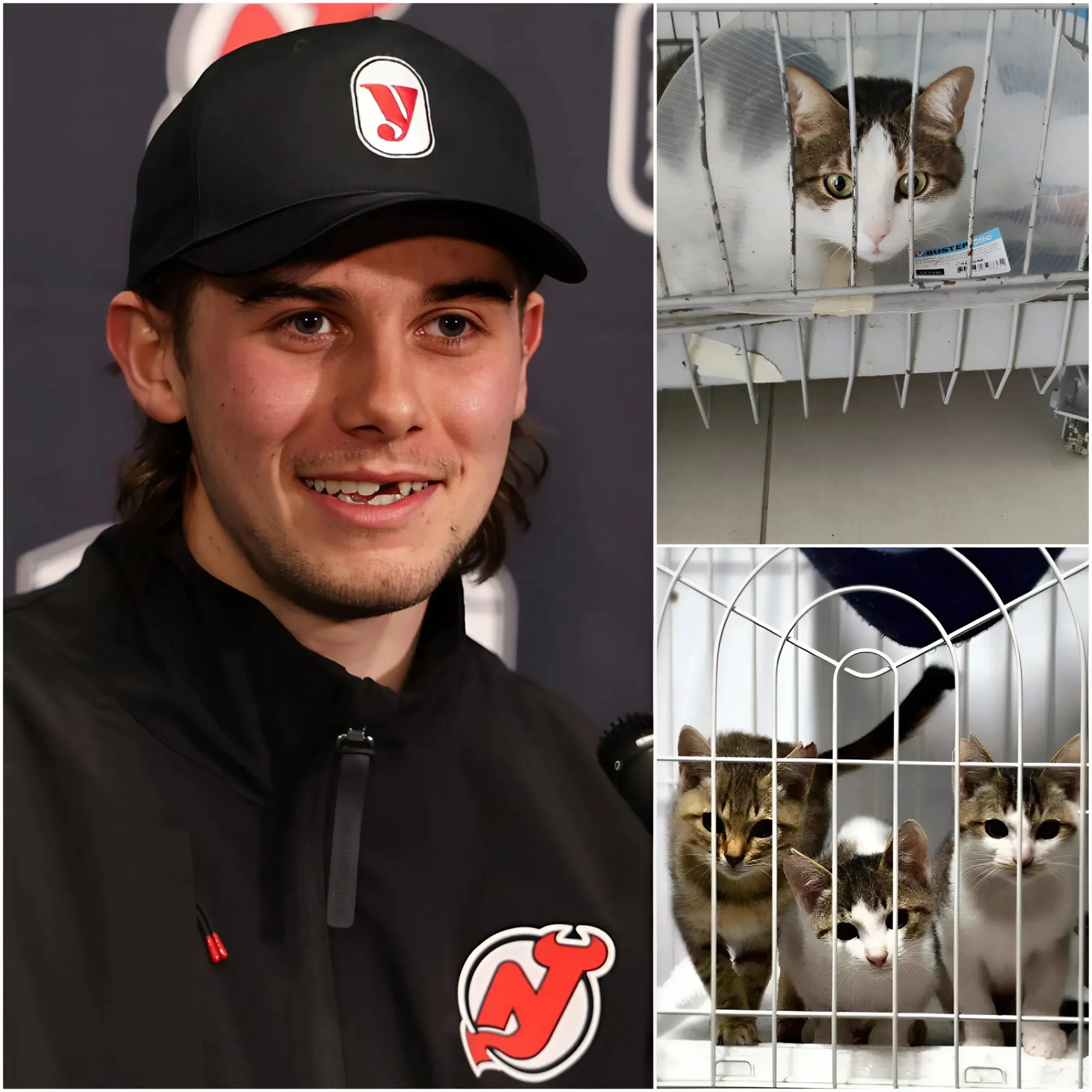 Cover Image for ❤️ Jack Hughes touches hearts beyond the ice rink! He has officially opened “Paws Haven,” a £5 million rescue center in New Jersey dedicated to saving and caring for stray cats. “Every living being deserves love and safety,” he shared, reminding everyone that true greatness is measured not only by goals and trophies, but also by compassion. Once again, Jack shows that he is not only a…