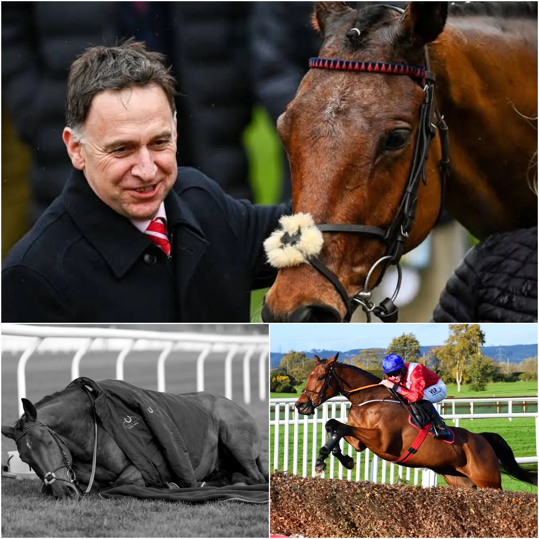 Cover Image for “IT WAS NEVER JUST A HORSE… IT WAS PART OF OUR FAMILY.” HENRY’S WORLD IS MOURNING AS CHELTENHAM LEGENDARY HORSE, ENVOI ALLEN, MAKES ITS FINAL RACE — AND THE COACH’S TOUCHING MEMORIAL MESSAGE BRINGS FANS TO TEARS!