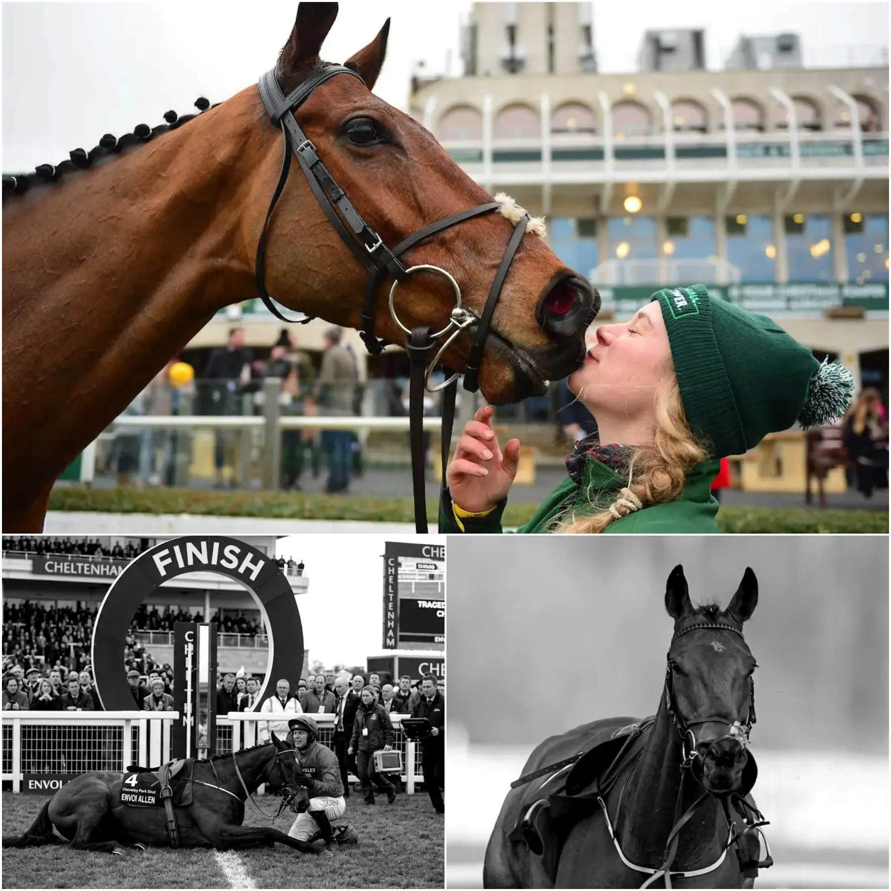 Cover Image for HE DIED LIKE A WARRIOR, EVEN IN THE MOMENTS BEFORE FINISHING HIS FINAL RACE.” The atmosphere at the legendary Cheltenham Festival will never be the same again.
