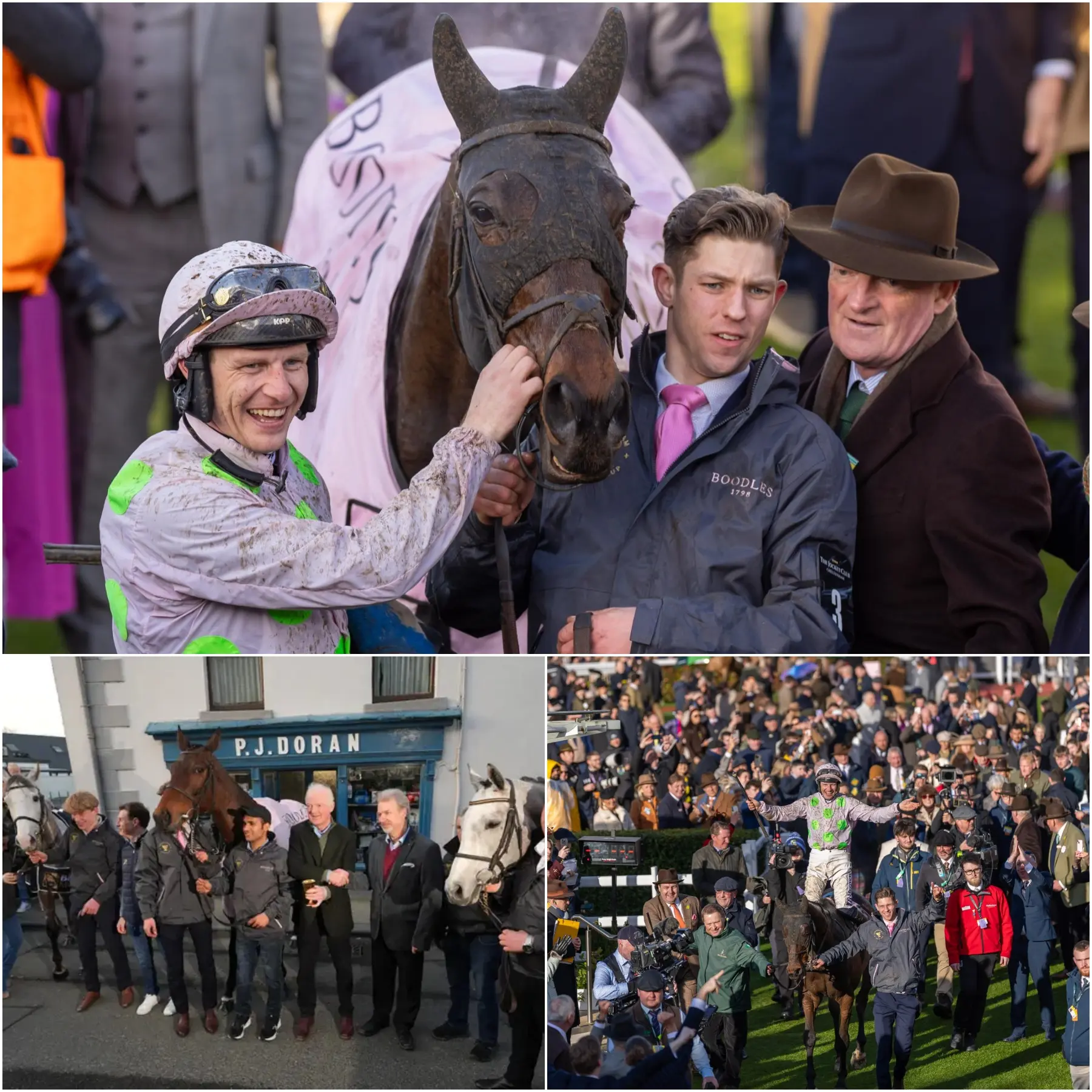 Cover Image for THE PROCESS OF CREATING A CHAMPION: “I was fascinated by Gaelic Warrior from the moment it was a tiny foal, willing to pay £20,000 to own it, but no one would even look at it or want to sell it to me!”