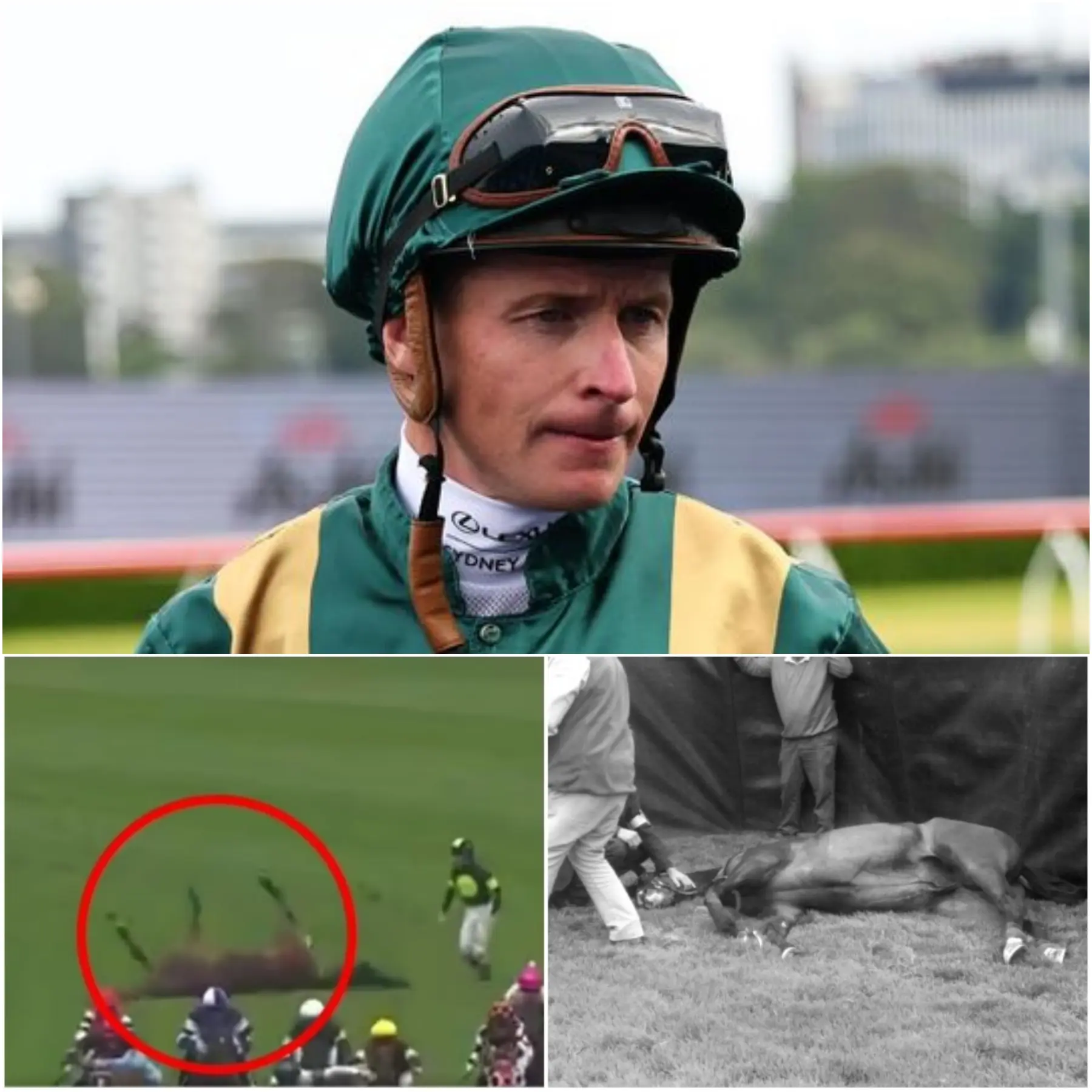 Cover Image for “THINK ABOUT SOMETHING!” Watch this incredible moment when a jockey was chanted after witnessing a jockey risk his life to comfort a horse that had fallen and was bleeding profusely during a race.
