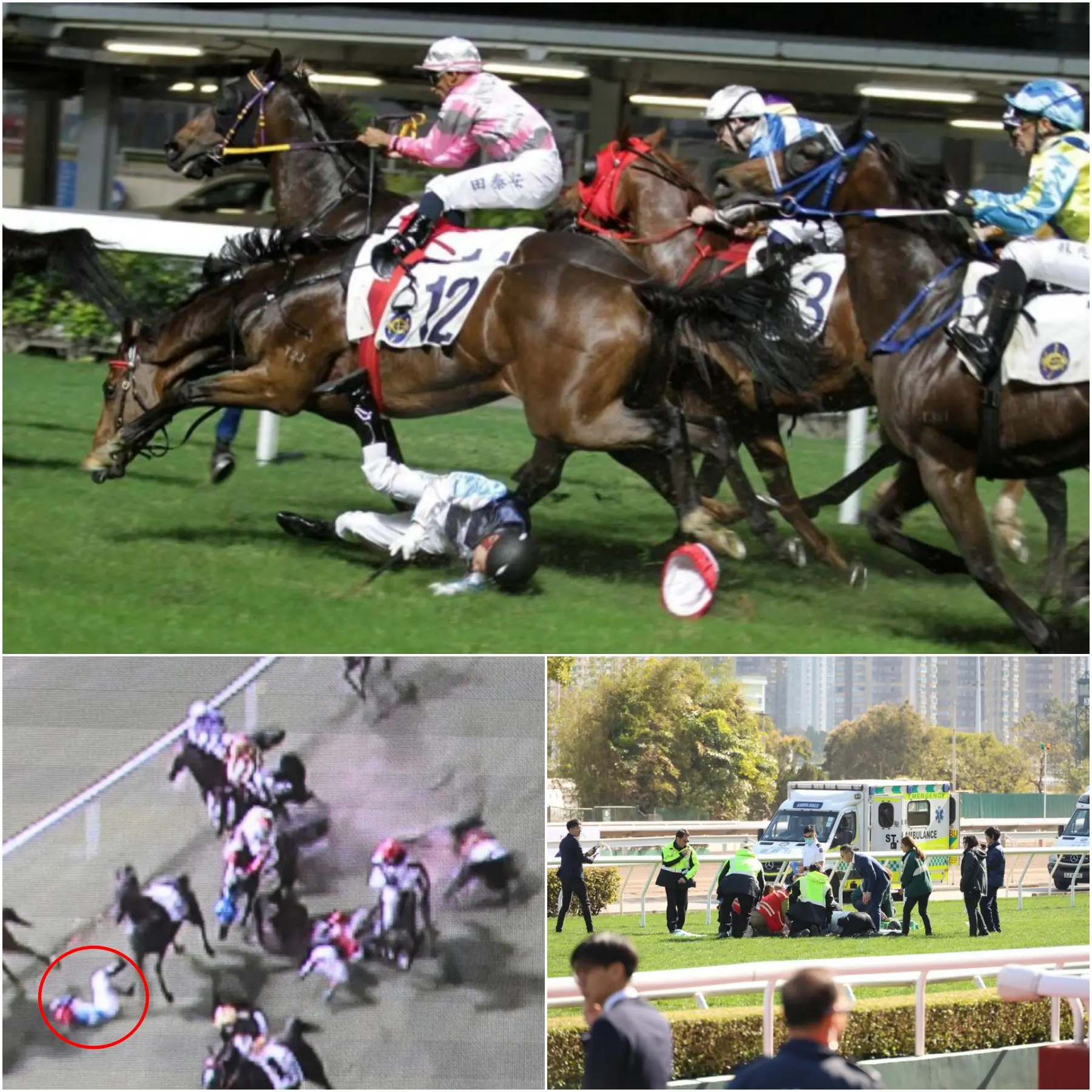Cover Image for “THE HOT SEATS IN THE GRANDSTANDS SHAKE AFTER WITNESSING THE HEARTBREAKING SCENE…” 5 minutes ago, Three riders were taken to hospital, a horse died after a horrific accident at Happy Valley, causing panic throughout the racetrack after witnessing this terrible incident. Was there any motive behind this deliberate act?