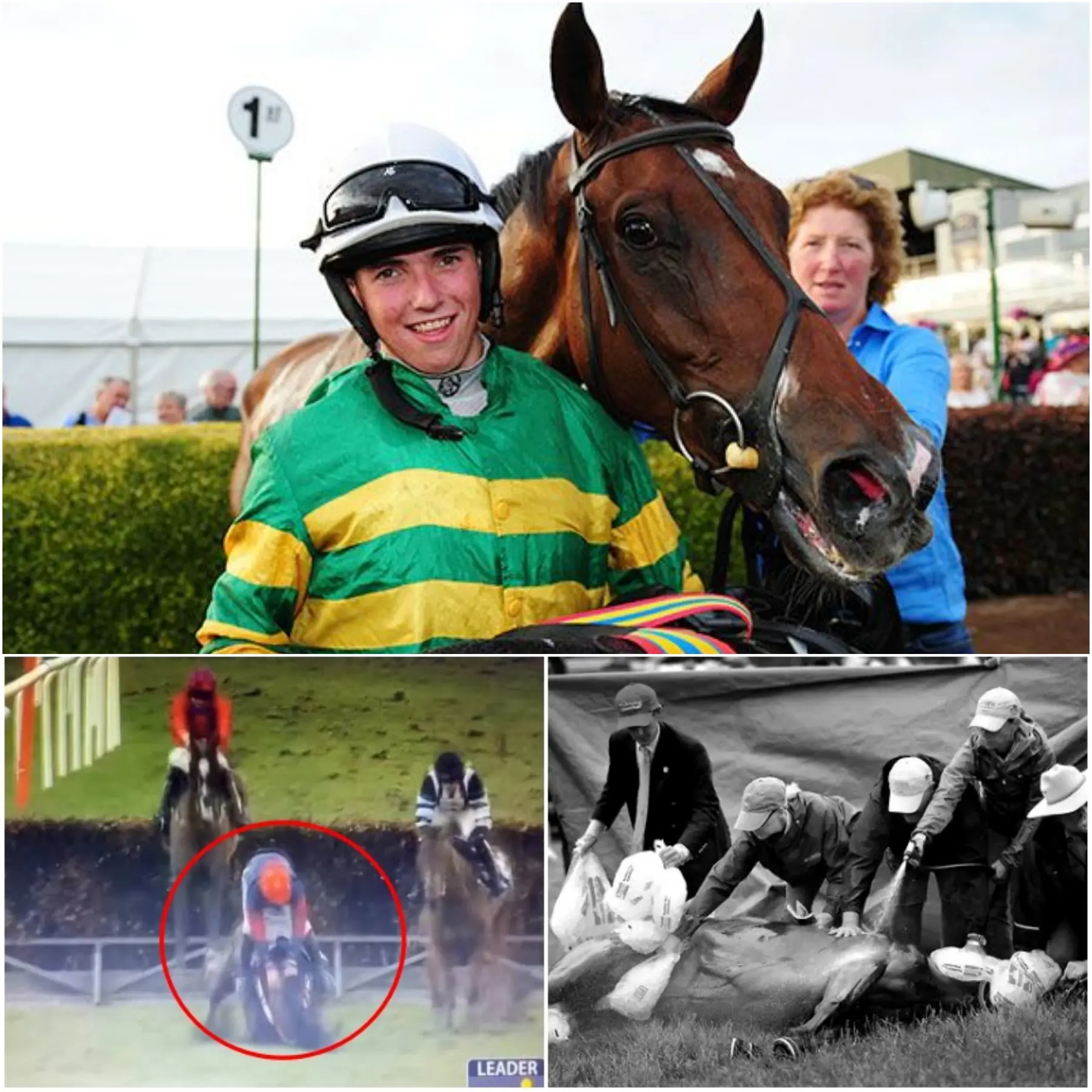 Cover Image for “A HEARTBREAKING MOMENT IN THE WORLD OF EAGLE RACING” We are deeply saddened by the “unbelievable” scene at the crash site that claimed the life of Enge Hazard in Punchestown