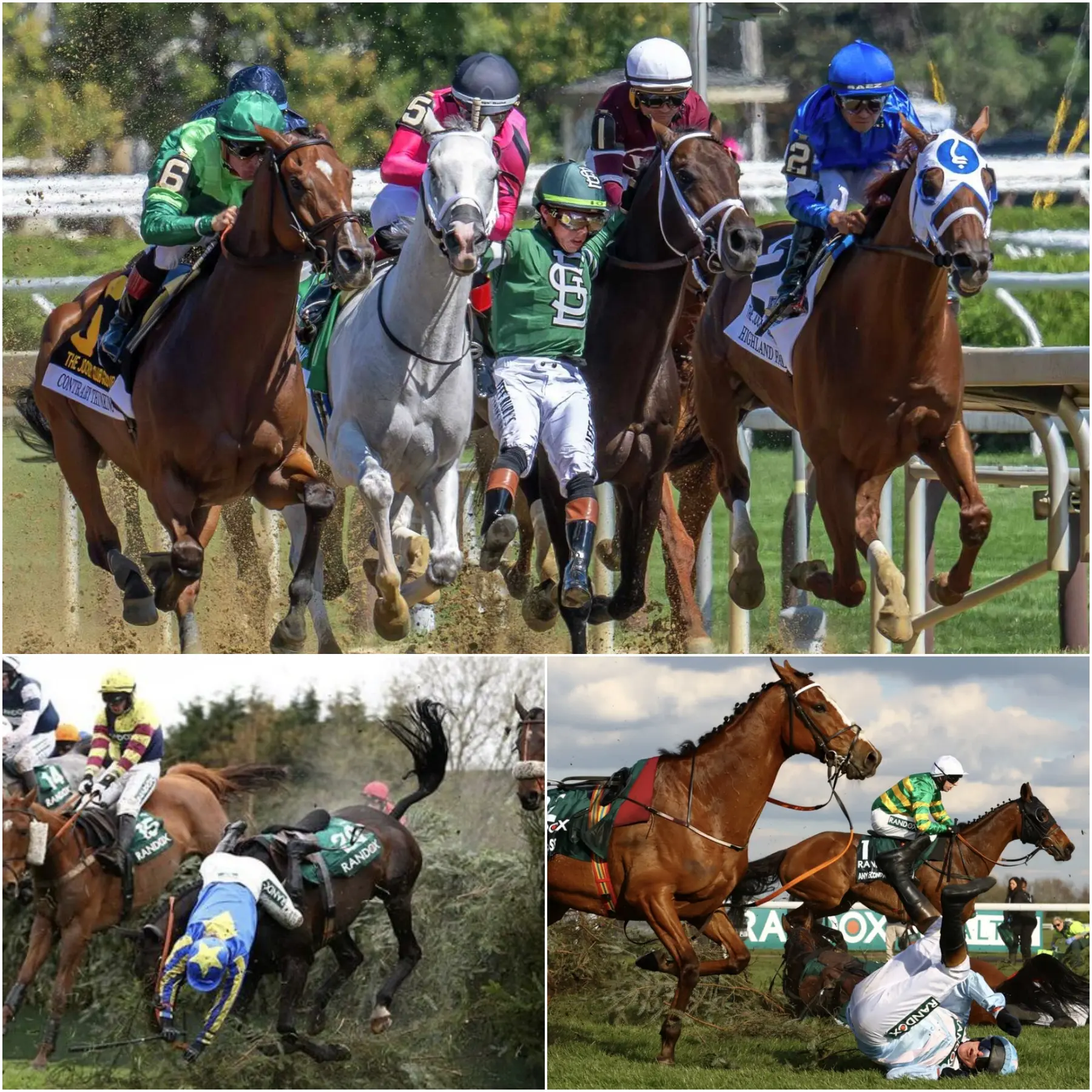 Cover Image for (Facts, Statistics, and Safety) How many jockeys have died in horse racing, many of whom never volunteered or didn’t understand the risks?