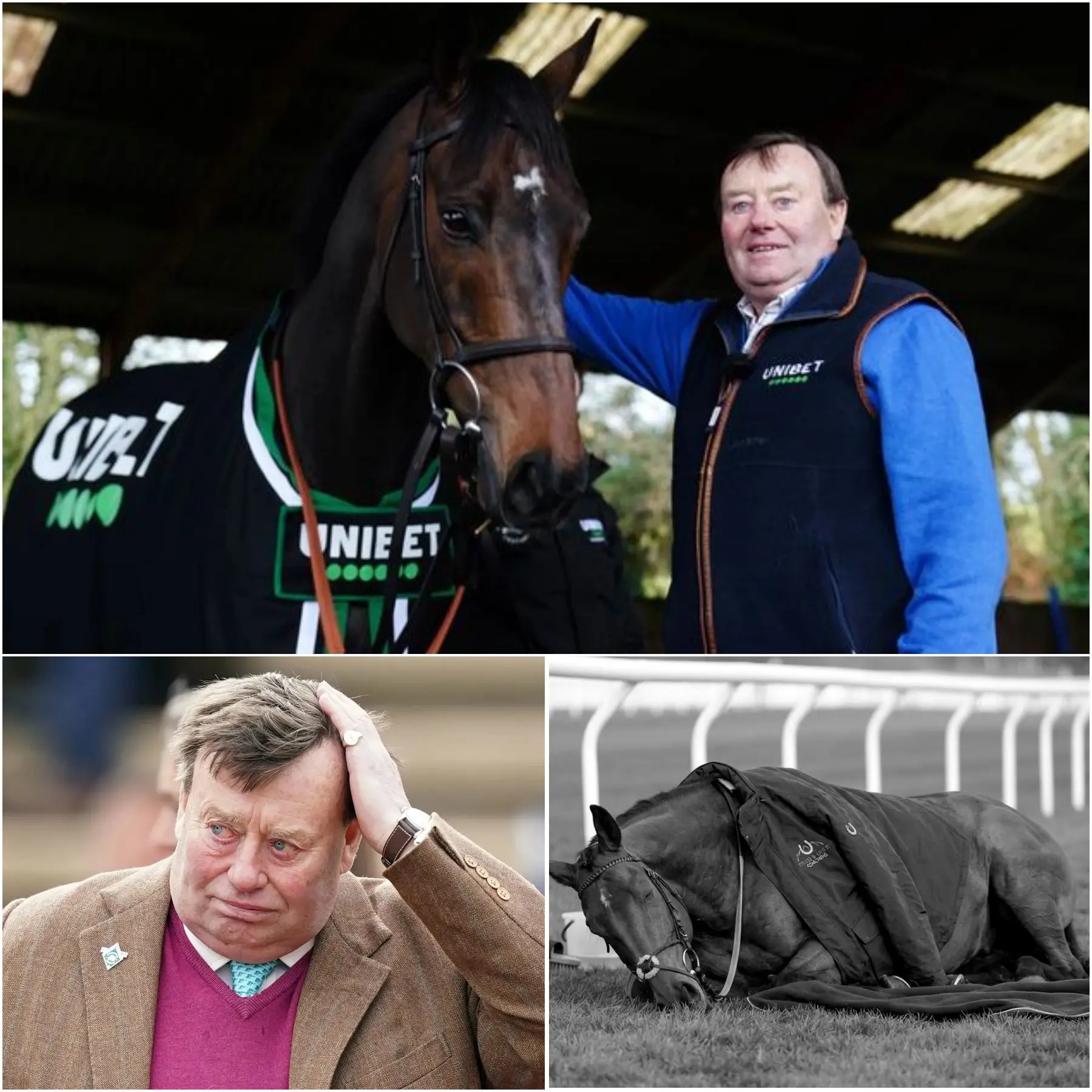 Cover Image for “HE WAS NEVER JUST A HORSE… HE WAS PART OF OUR FAMILY.” NICK HENDERSON’S WORLD IS MOURNING AS THE TALENTED HORSE, SIR GINO, MAKES HIS FINAL RACE — AND THE COACH’S HEARTBREAKING MESSAGE BRINGS FANS TO TEARS!