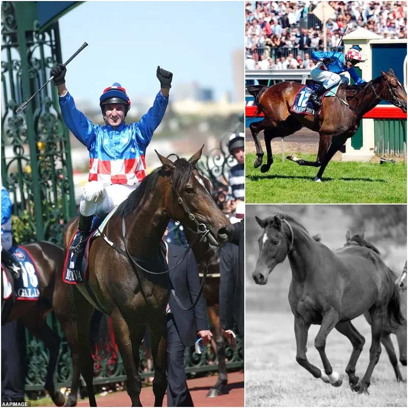 Cover Image for SAD NEWS IN THE Equestrian WORLD: Following the sudden death of Melbourne Cup champion legend Makybe Diva, at the age of 26, the entire equestrian world was plunged into mourning.