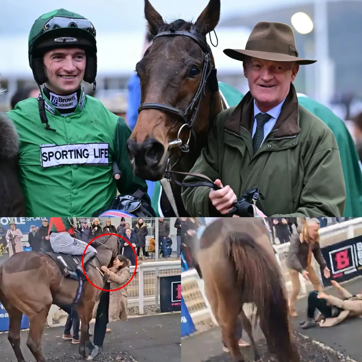 Cover Image for The scene was “unbelievable” in the winner’s zone when Willie Mullins’ horse gored its owner to the ground, leaving her unable to avoid it and causing serious injury.