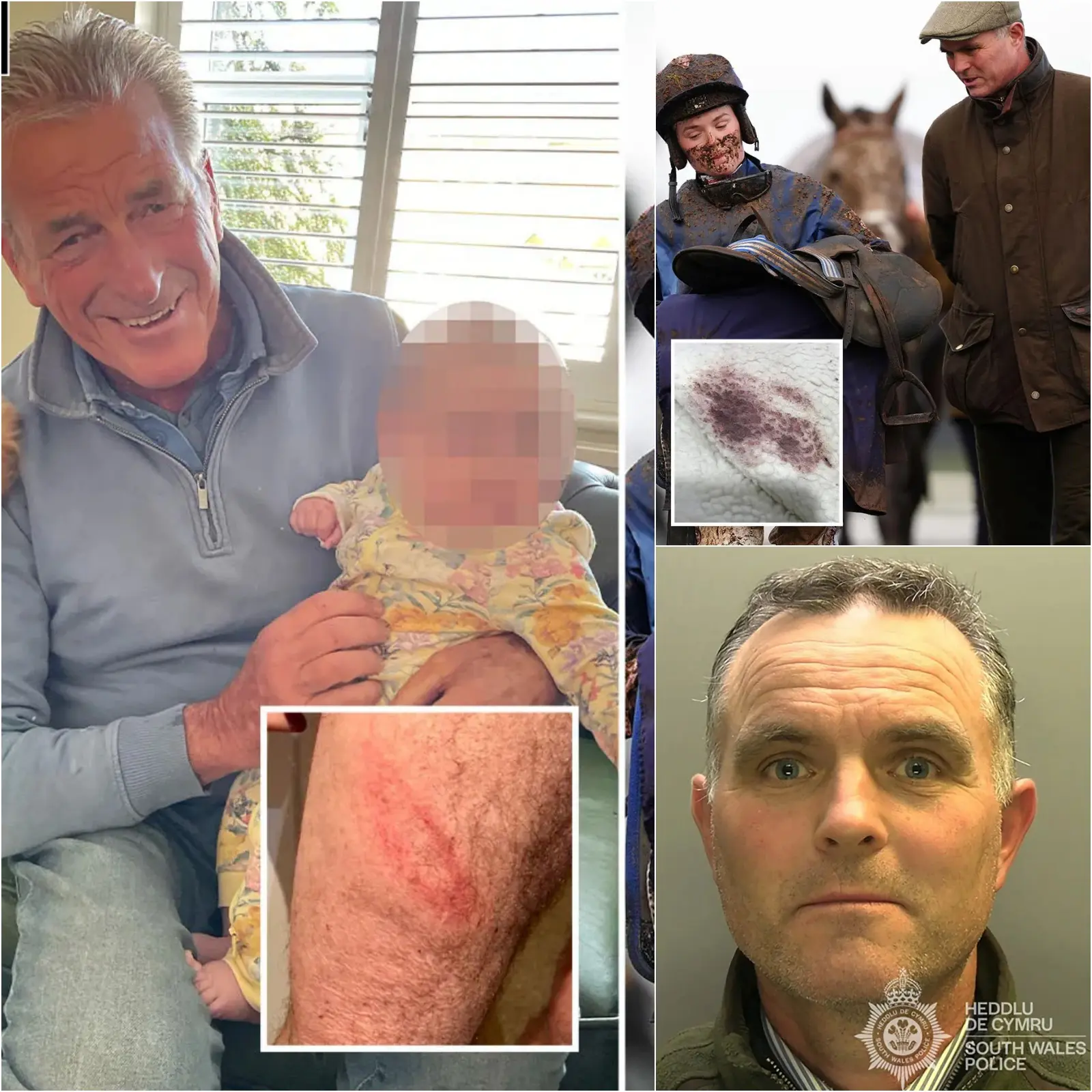 Cover Image for “MANDATORY RETIREMENT” An elderly man on retirement probation was severely injured after being struck with a hockey stick by a champion horse trainer during a “land encroachment”