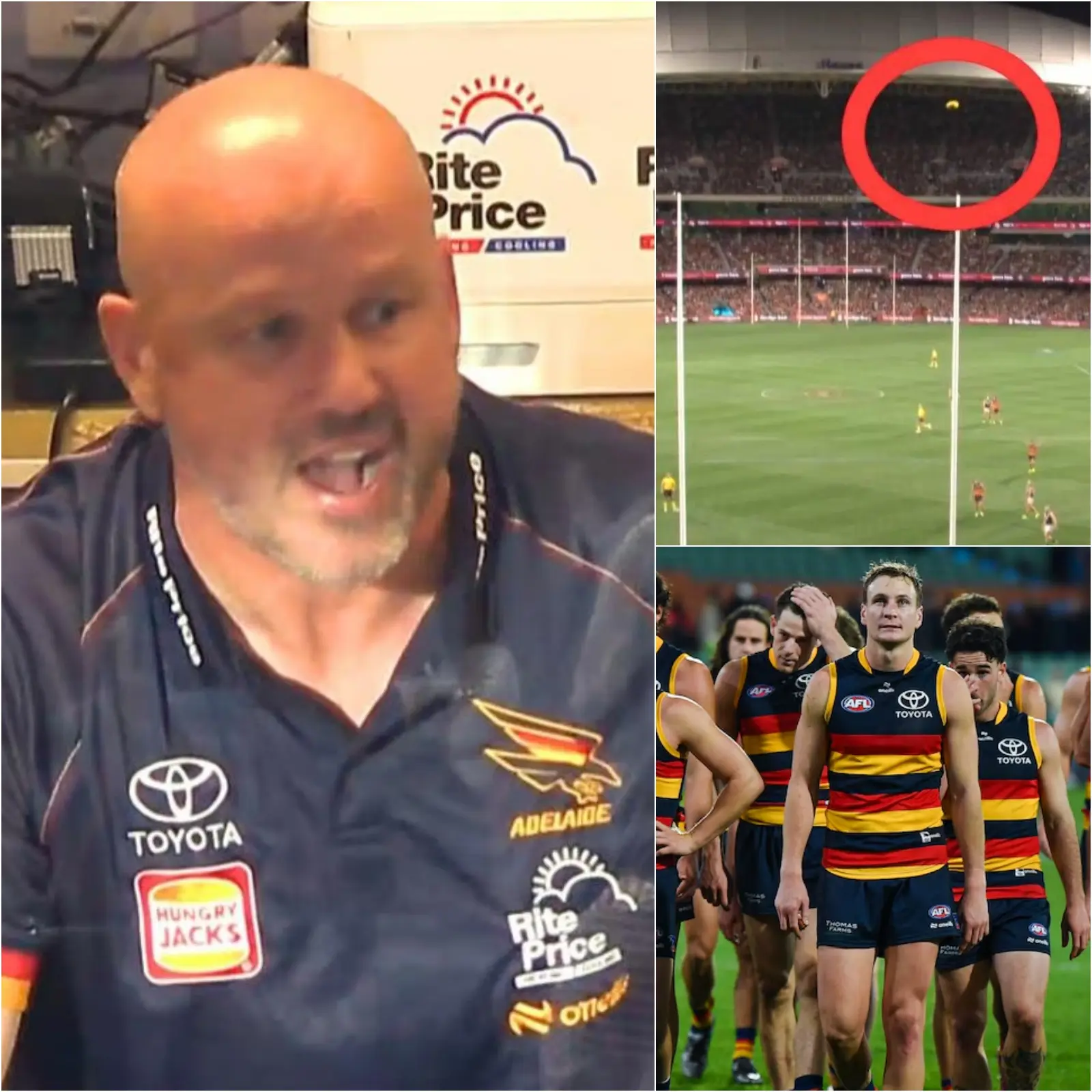 Cover Image for “LEAKED INVESTIGATION SHOCKS AFL” The AFL world is reeling as a leaked investigation exposes the truth behind the ARC’s “crazy” decision that nearly cost the Adelaide Crows a historic victory at Showdown 59