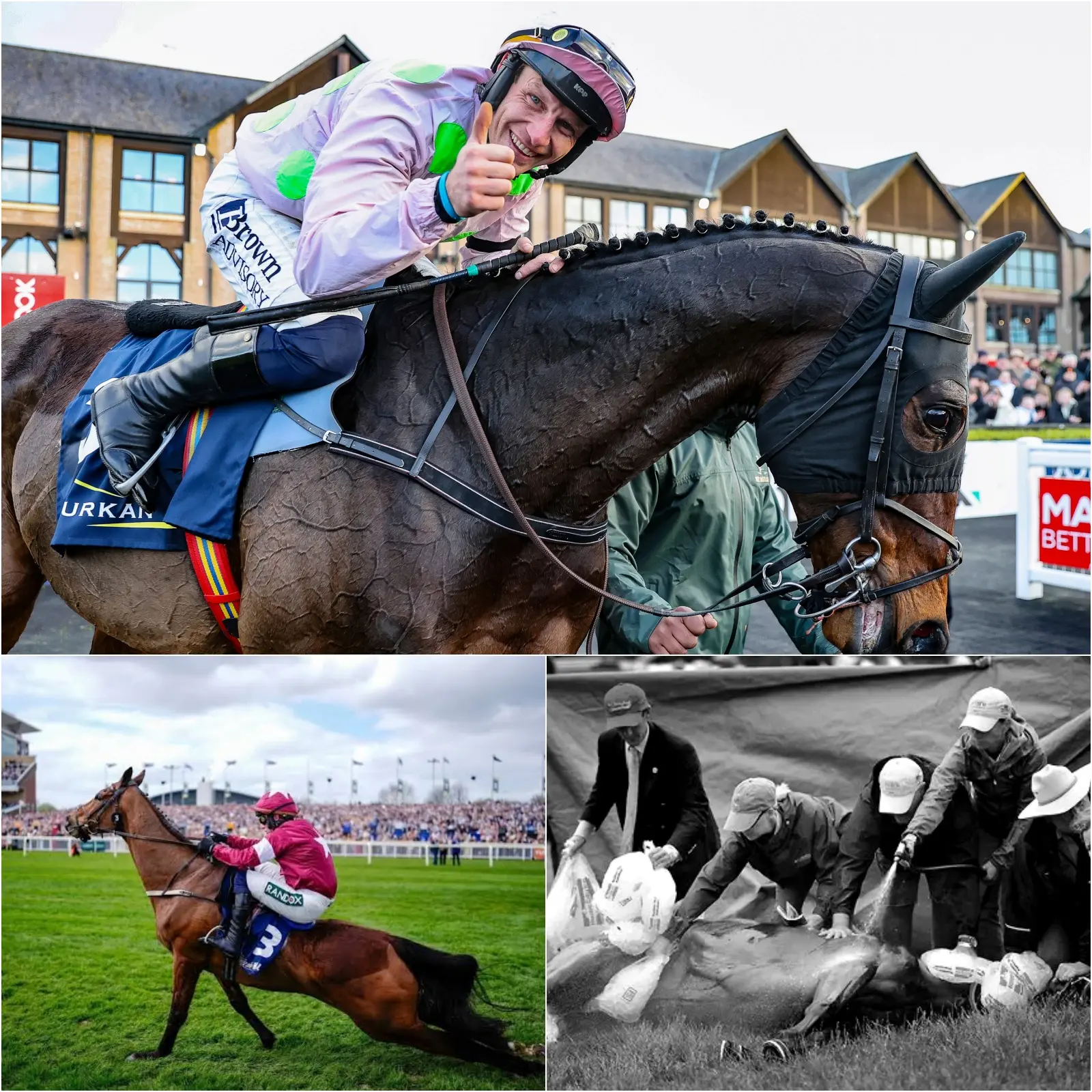 Cover Image for “THE MOST HAUNTING MOMENT IN LIVE TELEVISION HISTORY” – the deaths of two horses, Gold Dancer and Get On George, at the 2026 Grand National Festival. Gold Dancer and Get On George suffered irreparable injuries during the race, forcing veterinarians to euthanize them on the spot, much to the shock of thousands of spectators in the stands.