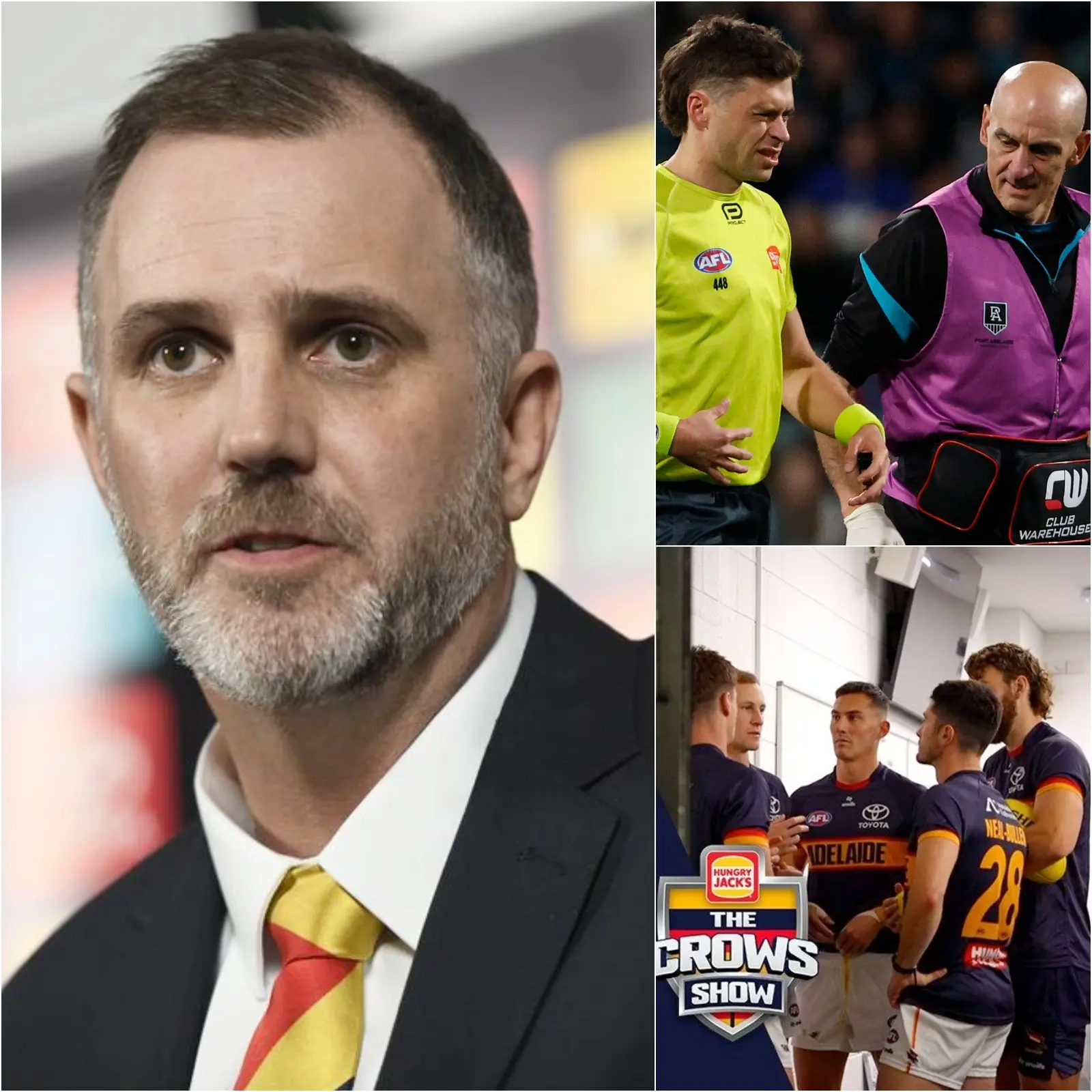 Cover Image for The Australian Rugby Football League (AFL) was forced to convene an emergency meeting ahead of the Round 11 match between Hawthorn and Adelaide after allegations of controversial refereeing decisions against Adelaide Crows left fans extremely frustrated with the officiating.