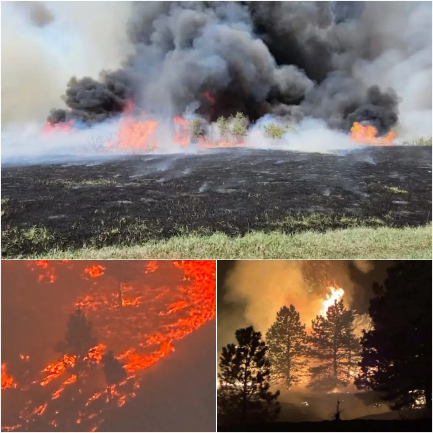Cover Image for 🚨 Alerte d’urgence : Le sud-ouest de la France est placé en vigilance maximale ce soir. Un violent incendie de forêt dévaste actuellement les zones boisées aux abords de Toulouse, ville emblématique du Stade Toulousain, malgré la mobilisation massive des pompiers et des équipes de secours