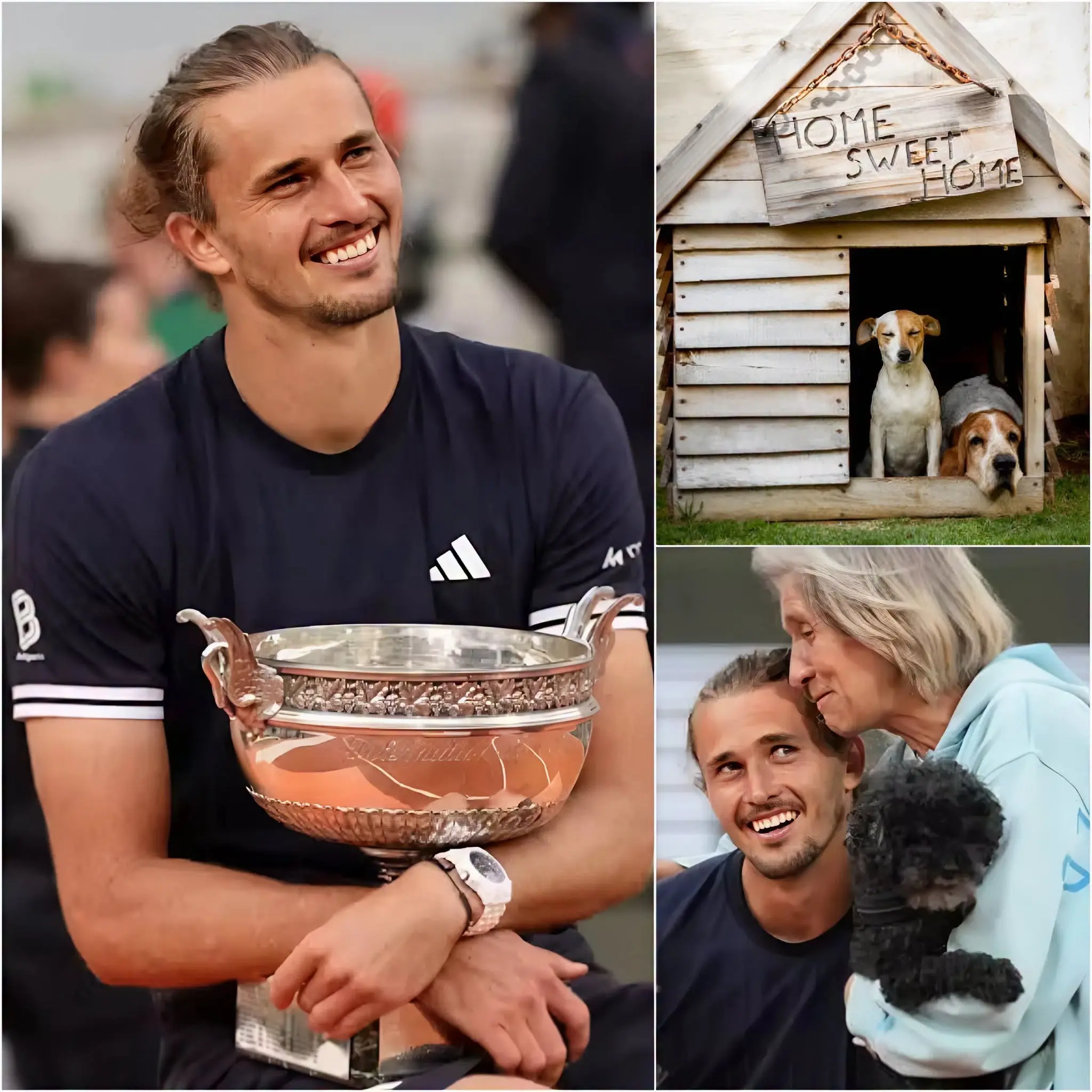 Cover Image for 🔥 SHOCKING: Alexander Zverev Donates Half of His Prize Money to Build a Modern Shelter for Homeless Dogs 😱🎾